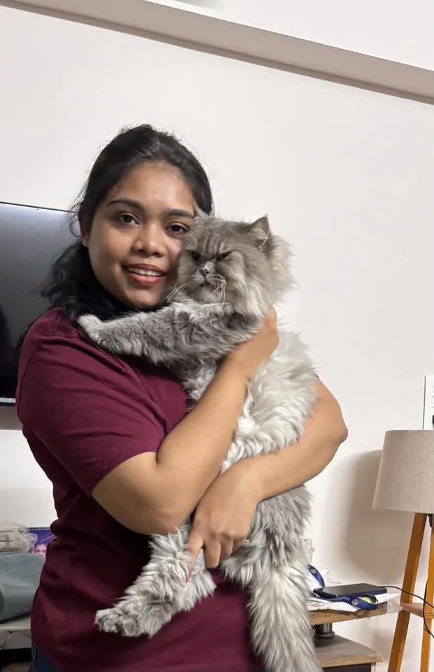 A pet parent at home hugging a fluffy grey Persian cat